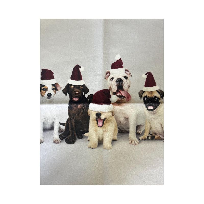 Kissenpanel Hunde Weihnachten mit Nikolausmützen – Polstervelours 330 g/m – Weihnachtsstoff Hundemotiv – Kissen nähen DIY