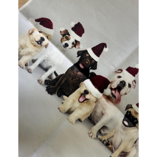 Kissenpanel Hunde Weihnachten mit Nikolausmützen – Polstervelours 330 g/m – Weihnachtsstoff Hundemotiv – Kissen nähen DIY