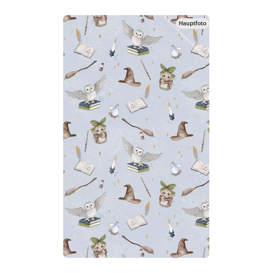Baumwolle Canvas Magische Welt Stoff 160 cm – Eule Hexenhut Bücher Fantasy Kinderstoff Hellblau – 153 g/m – Eigenproduktion